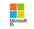 Microsoft iis SMTP Smart host-Relay-Service